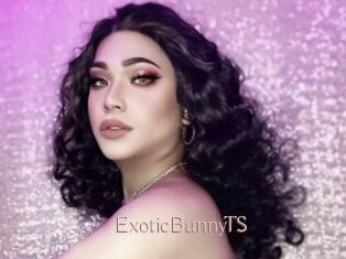 ExoticBunnyTS