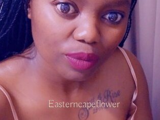 Easterncapeflower