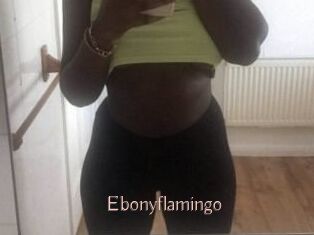 Ebony_flamingo