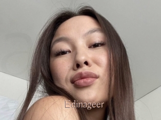 Edinageer