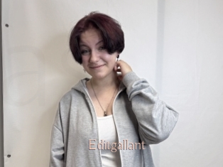 Editgallant