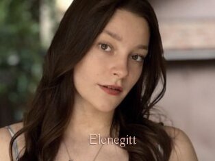 Elenegitt