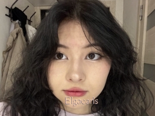 Elgacarls