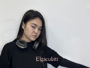 Elgacubitt