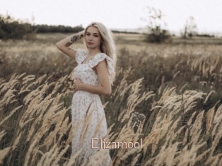 Elizamool
