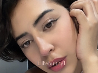 Elliebunny1