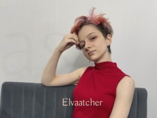 Elvaatcher