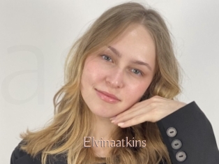 Elvinaatkins