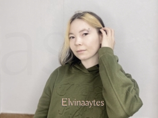 Elvinaaytes