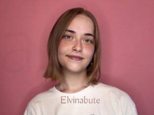 Elvinabute