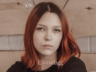 Elvinadagg