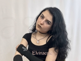 Elvinaesse