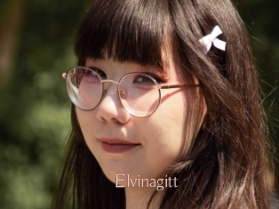 Elvinagitt