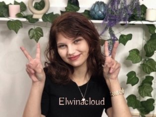 Elwinacloud