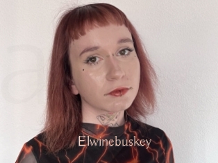 Elwinebuskey