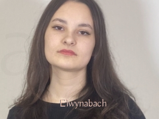 Elwynabach