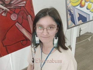 Elwynabuss