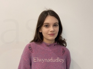 Elwynadudley