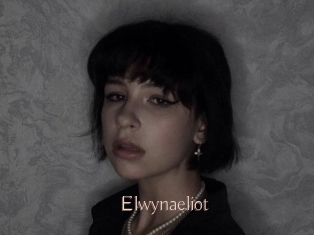 Elwynaeliot