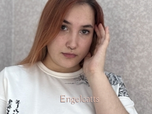 Engelcatts