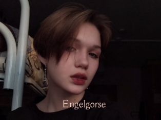 Engelgorse