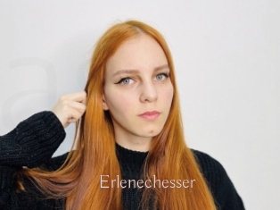 Erlenechesser