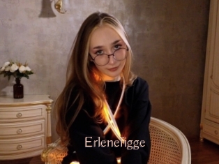 Erlenefigge