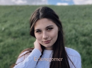 Erlenegomer