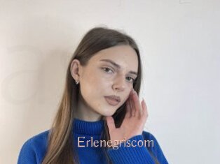 Erlenegriscom