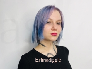 Erlinadiggle
