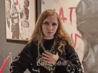 Esmagledhill