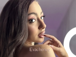 Evacheriee