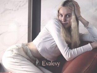 Evalevy