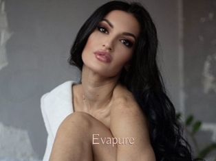 Evapure