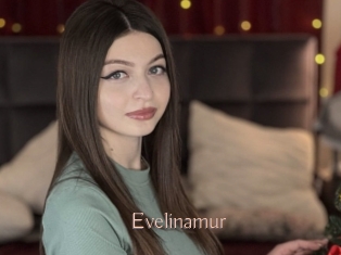 Evelinamur