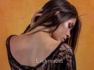 Evelynrabitt