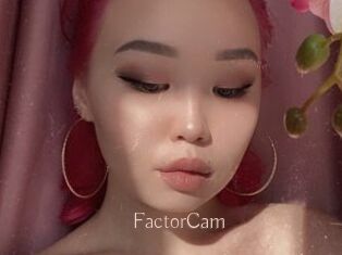 FactorCam