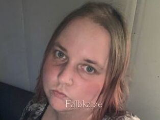 Falbkatze