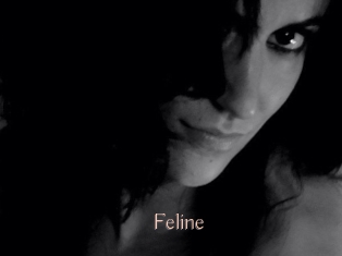 Feline