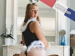 Feline18