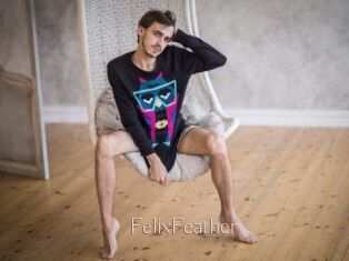 FelixFeather