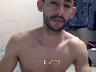 Flak022