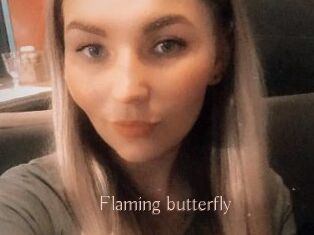 Flaming_butterfly