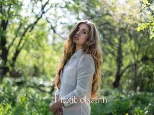 FlexibleKatrin
