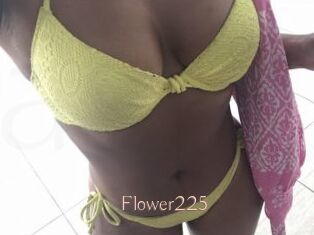 Flower225