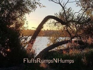FluffsRumpsNHumps Anal Sexe