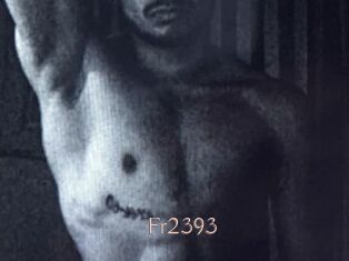 Fr2393