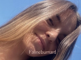 Falineburnard