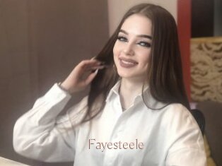 Fayesteele