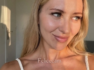 Felicecam